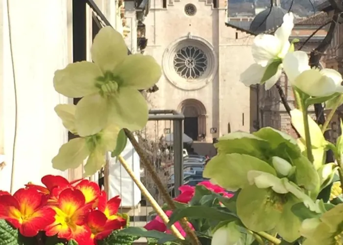 Homer לינה וארוחת בוקר *